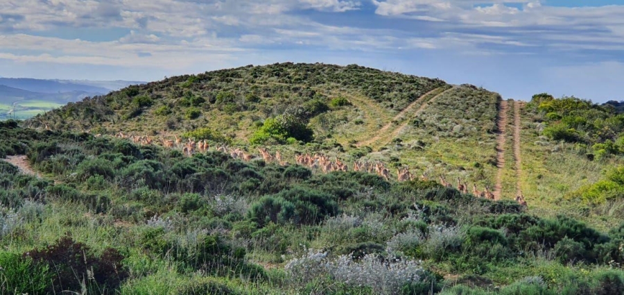 4 Bedroom Property for Sale in Outeniquasbosch Western Cape